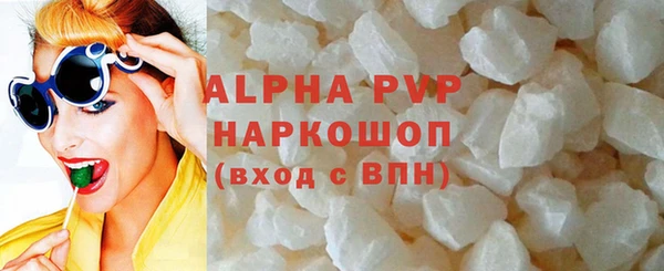 индика Тихвин