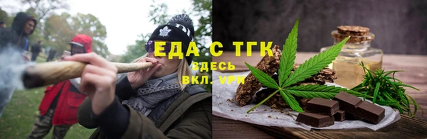 индика Тихвин