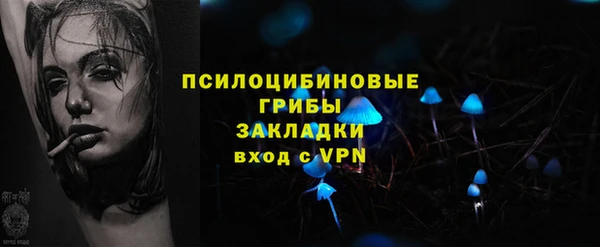 индика Тихвин