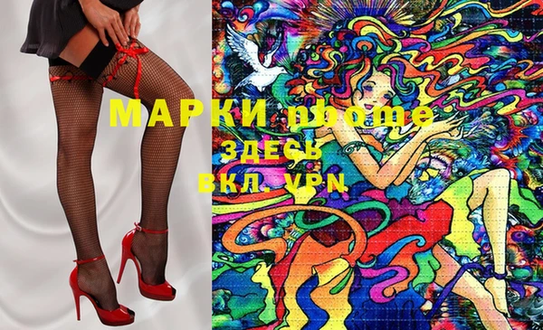 индика Тихвин