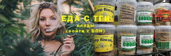 индика Тихвин