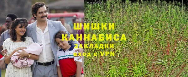 стаф Волосово