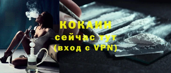 индика Тихвин